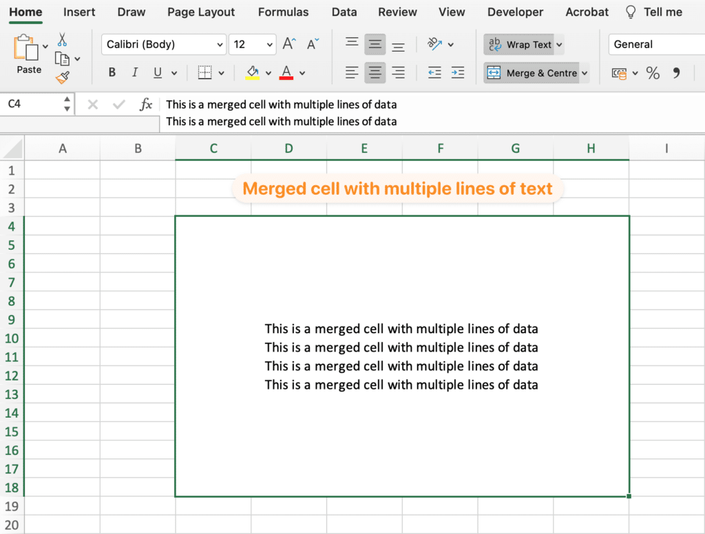Merged Cell with multiple lines of text