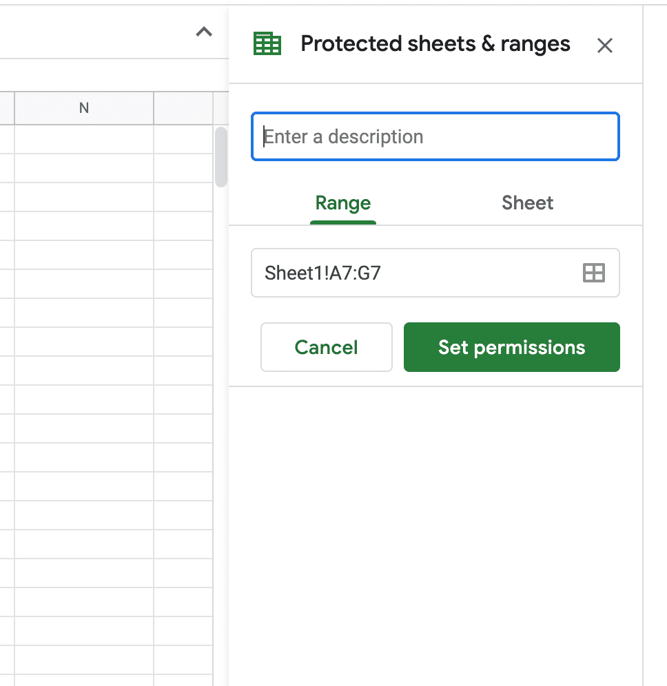 protect cells options pane