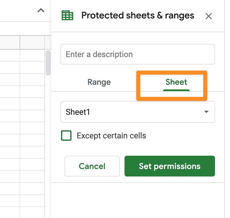 protect sheet options